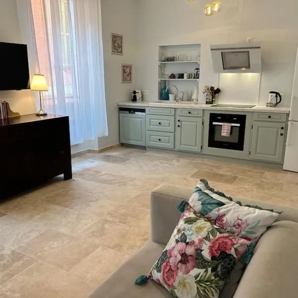 Rossetti Rosa Vieux Nice 2 bed，位于尼斯的酒店
