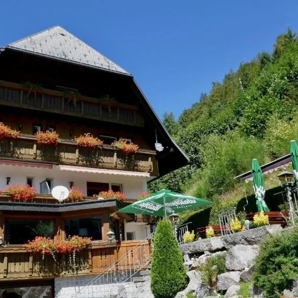 Hotel Silberfelsen, hotel in Menzenschwand