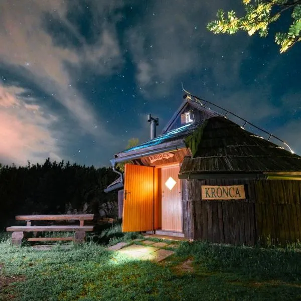 Koča Kronca - Velika planina，位于Stahovica的酒店