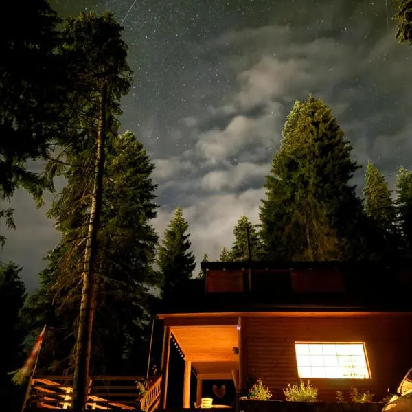 In The Forest, hotel en Mestia