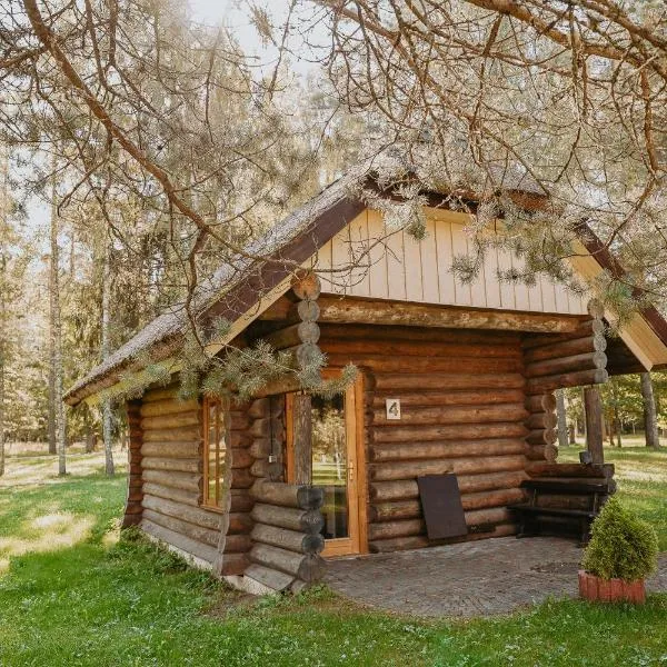 Atpūtas komplekss ''Lācītes'', hotel em Gulbene