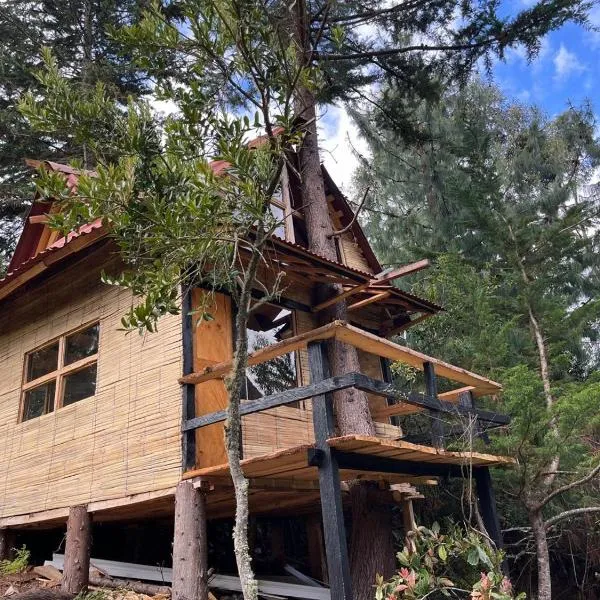 Cabañas Del Árbol n2, ξενοδοχείο σε Tres Esquinas