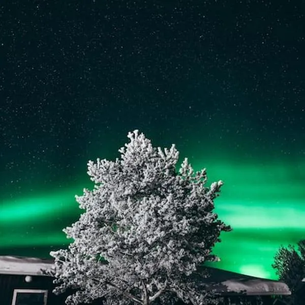 Forest Ranger's House, Authentic Lappish atmosphere, hotel in Äkäslompolo