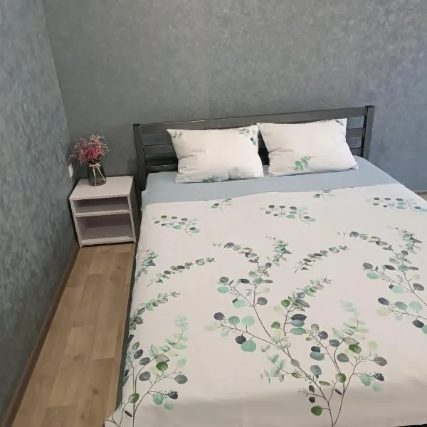 Две уютные квартиры в центре города Дзержинка - New apartments, hotel v destinaci Kryvyj Rih