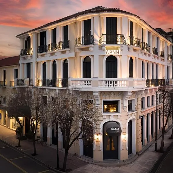 Arni Hotel Domotel, hotel in Karditsa