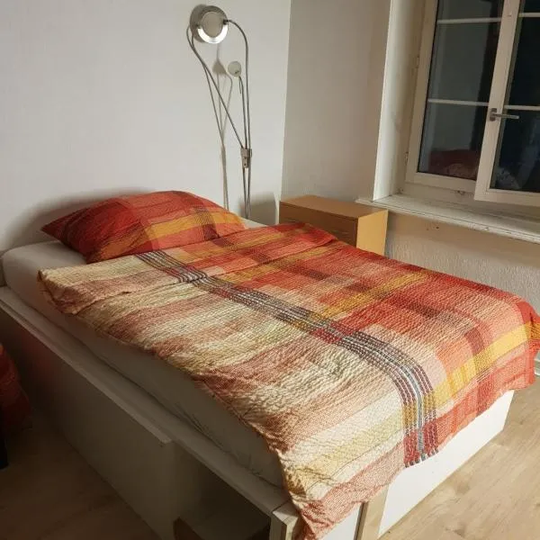 Men's Dormitory - Männerschlafsaal, hotel i Brüttisellen