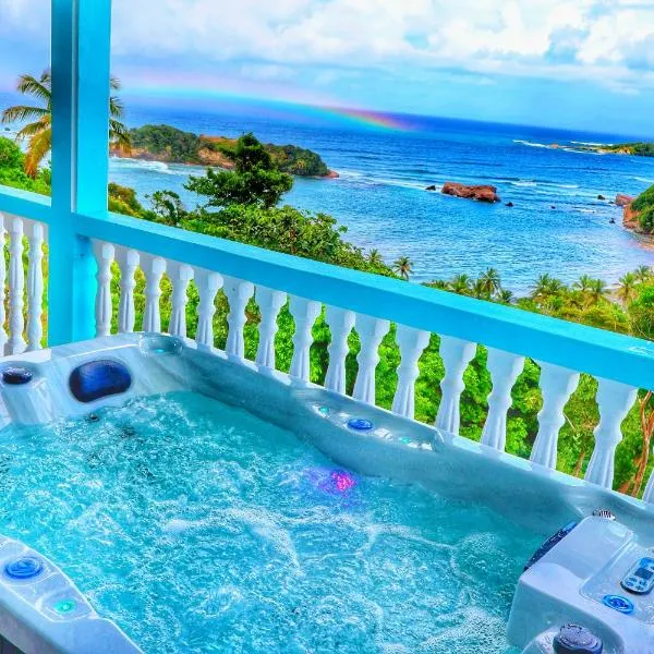 Blue Whale Villa - Penthouse, Hotel in Calibishie