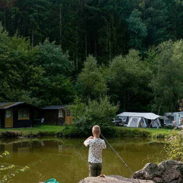 Camping Bockenauer Schweiz, hotel in Bockenau