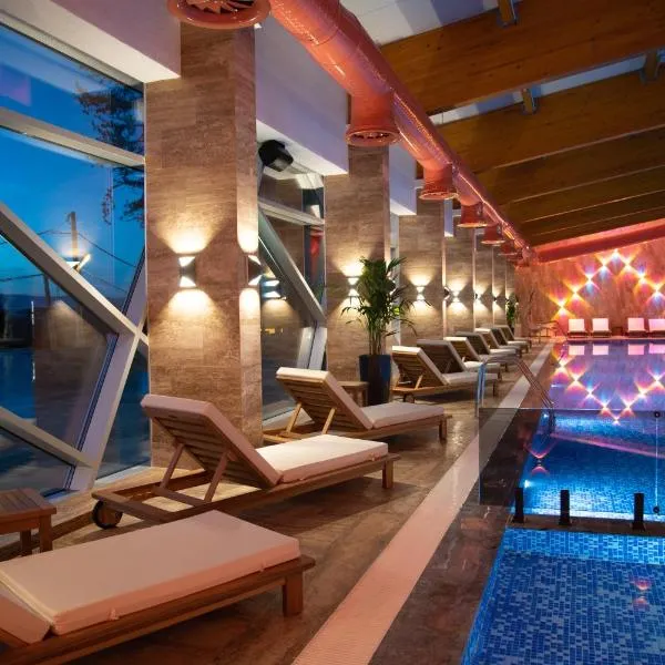 Hotel Borovi Forest Resort & Spa, hotel in Sjenica