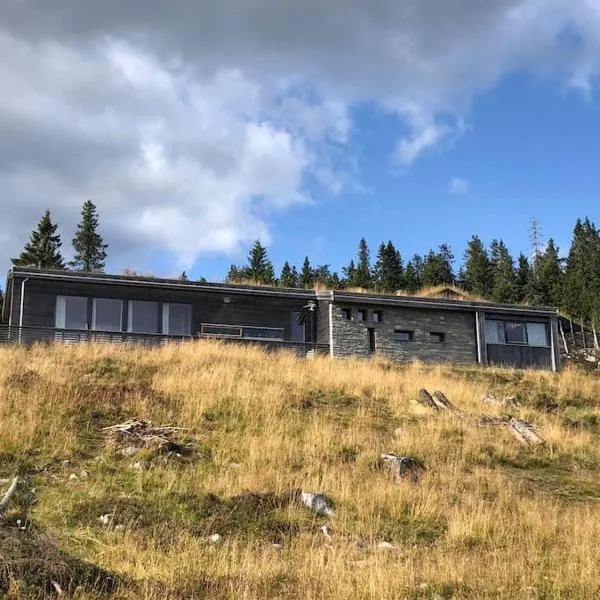 Moderne hytte Sjusjøen, ξενοδοχείο σε Sjusjøen