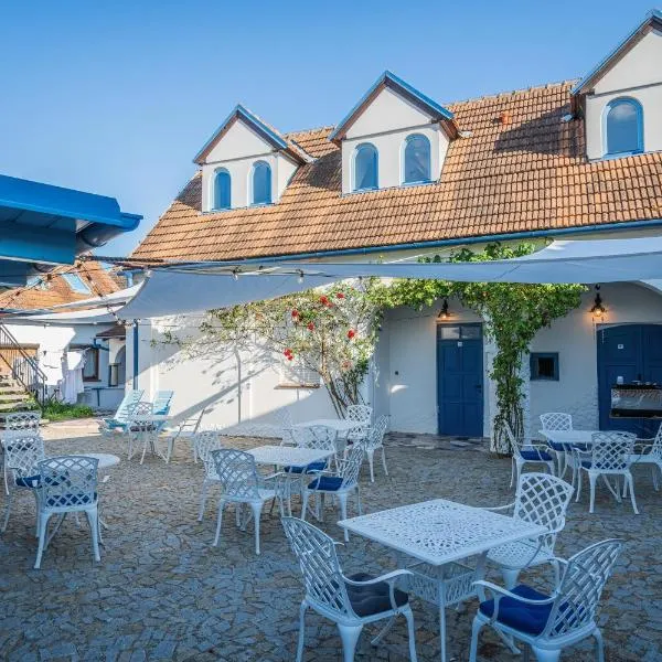 Naturální vinařství Tomáš Křížek, Penzion Dvorek, hotel in Dolní Dunajovice