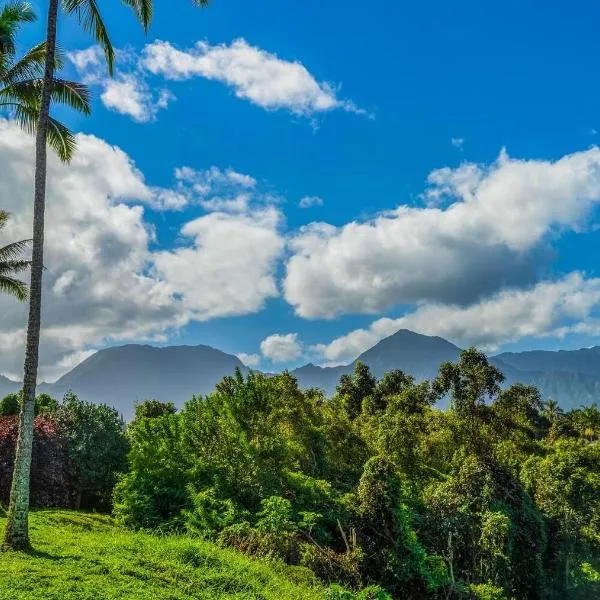 Alii Kai 2201, Hotel in Princeville