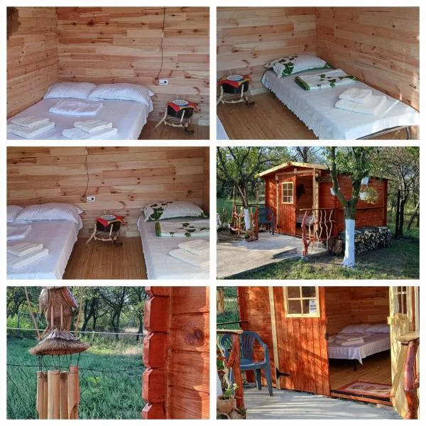 CABANE Nadejda SPERANTA, hotel in Găgeni