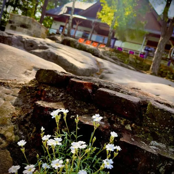 Penzion Na Stráži, Hotel in Česká Lípa