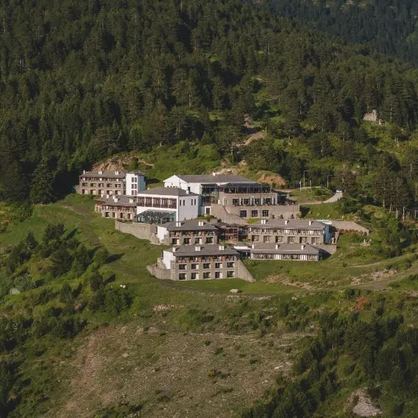 Grand Forest Metsovo - Leading Hotels of the World, hôtel à Metsovo
