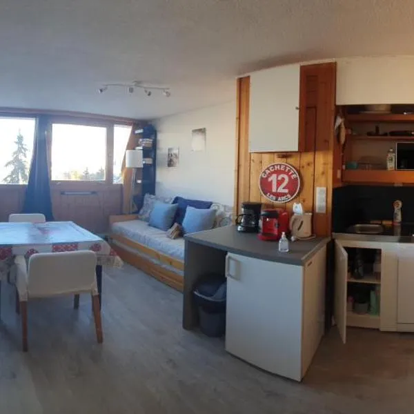 studio 4 personnes Les Arcs 1600, hotel in Arc 1600