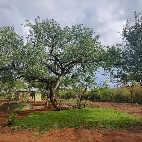 ZuriCamp - Campsite Safiri, hotel in Tsumeb
