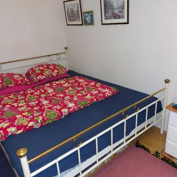 Nipu -Beside City Center, Bus and Train Station, hotel in Oulu