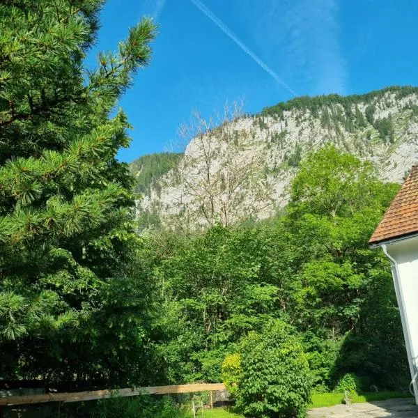 Gorshof, hotel in Spital am Pyhrn