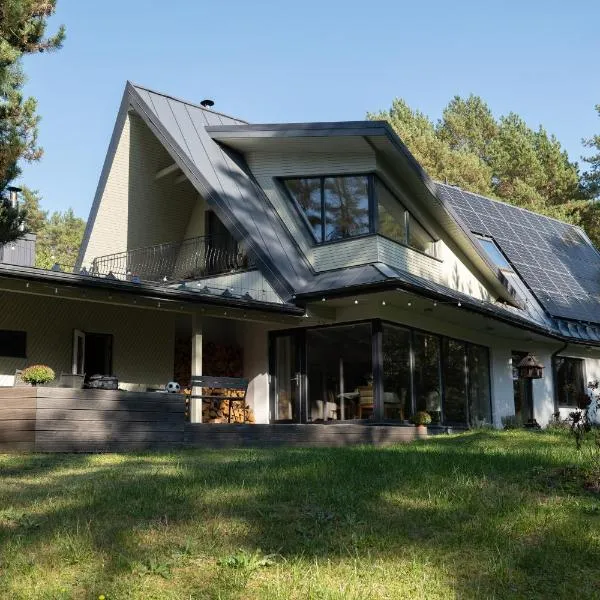 Vila Pušyno 4, ξενοδοχείο σε Kulautuva