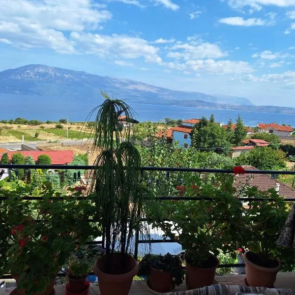 Taku Villa Wonderful view of Lake Ohrid, hotel a Udënisht