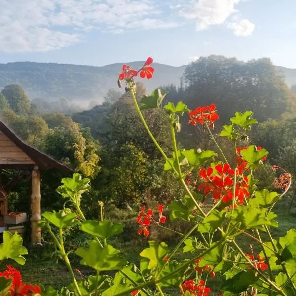 Pod Smerekiem: Wetlina şehrinde bir otel