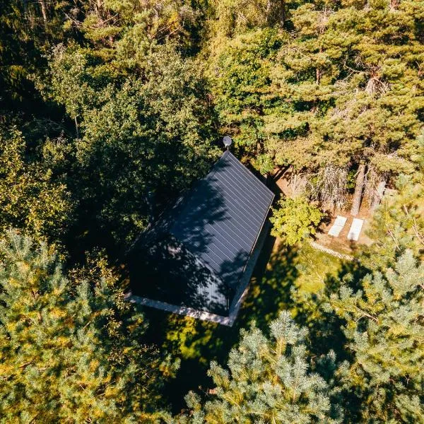 Cocodeno-'Virš Ąžuolų' - Forest SPA - FREE jacuzzi: Paplatelė şehrinde bir otel