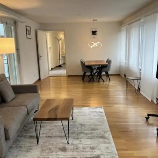 Executive 1 bedroom in the center - D11, hotel in Zurich