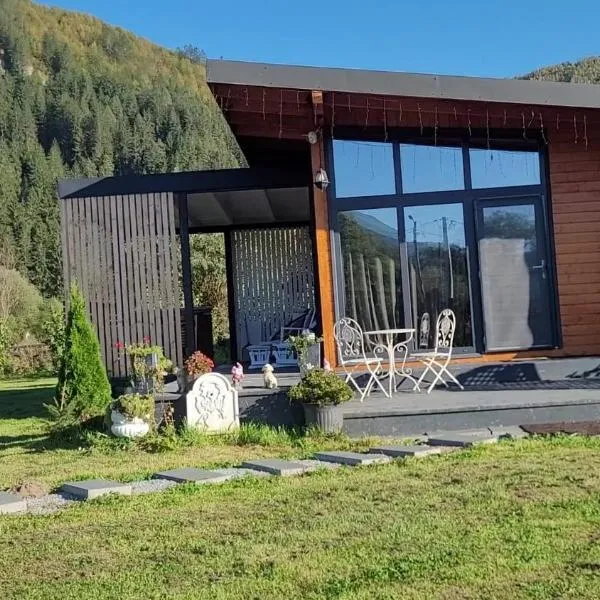 Casuta de sub stanca Apuseni,hot tub inclus, hotel in Bîrdeşti