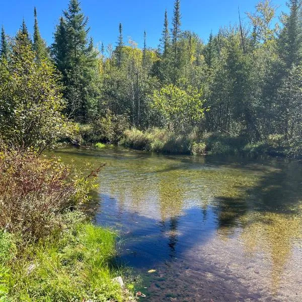 Sleeping Bear Riverside Cabins, hotel in Honor