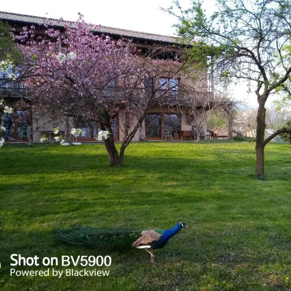 BioAgriturismo Vegan Campo di Cielo, hôtel à Cesiomaggiore