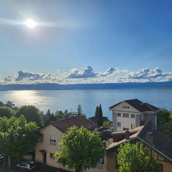 Hôtel Savoie Léman, hotel in Thonon-les-Bains