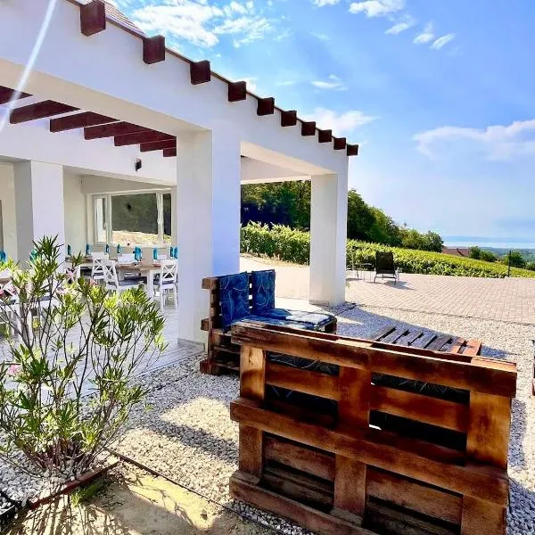 Antmann Bor Terasz Szállás, hotel in Balatoncsicsó