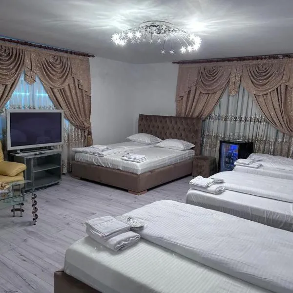 Villa Sara, ξενοδοχείο σε Târgu Jiu