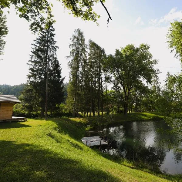 Haus am Fischteich, hotel in Feistritz ob Bleiburg