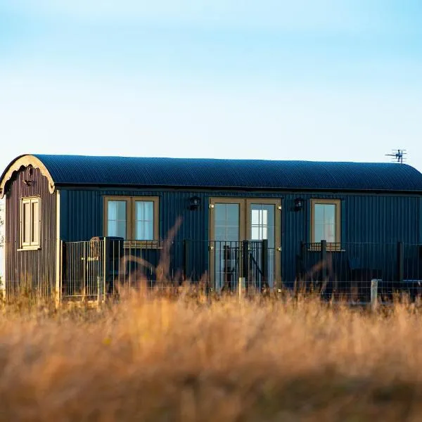 Head For The Hills Glamping - Shepherd's Hut、Llanfynyddのホテル
