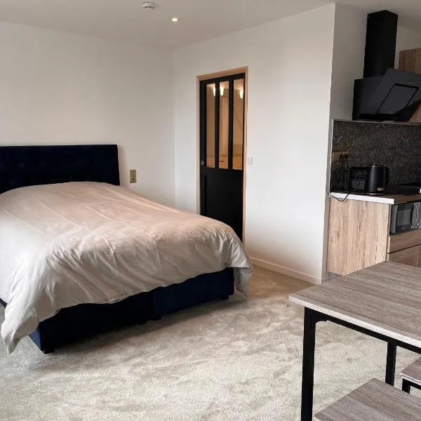 HDG Hôtel Gare de L'Isle Adam Appart's Hotel, hotel in Parmain