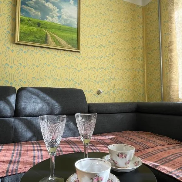 Cosy Khruschovka Style apartment, hotel in Rauna