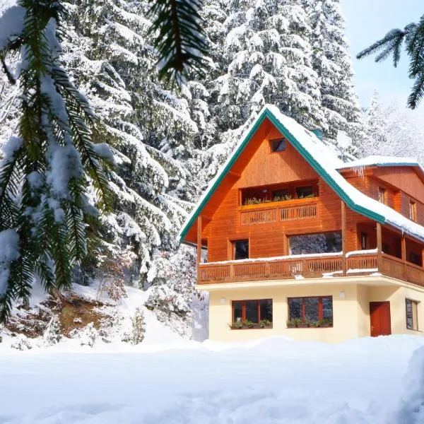 Chalet Tatry, hotell sihtkohas Horná Lehota