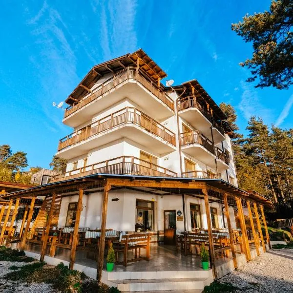 Villa Santa Maria, hotel di Tsigov Chark