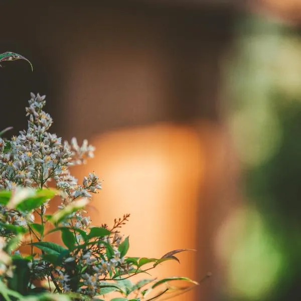 Quinta do Lameiro, hotell sihtkohas Tarouca