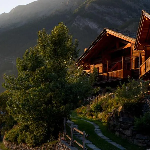 Agriturismo Plan de la Tour B&B, hotel in Cogne