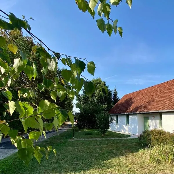 Zabszalma Vendégház、オリセントペーテルのホテル