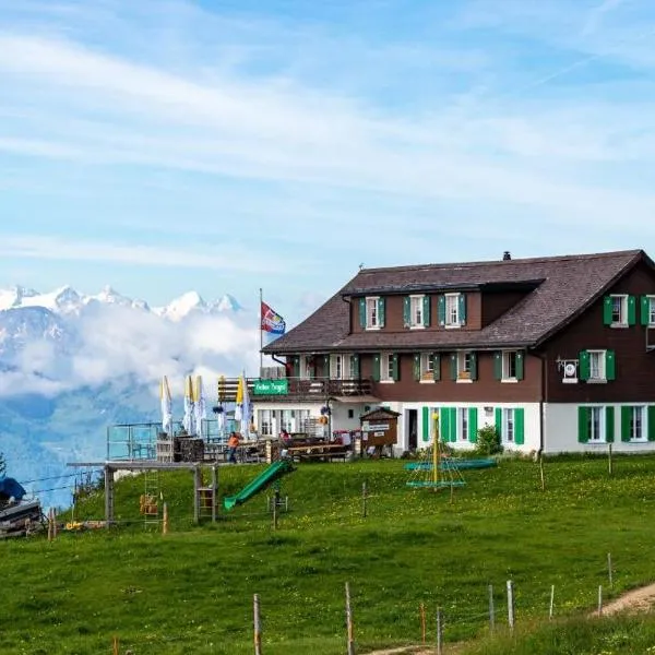 Berggasthaus Rigi-Burggeist, hotell sihtkohas Gersau