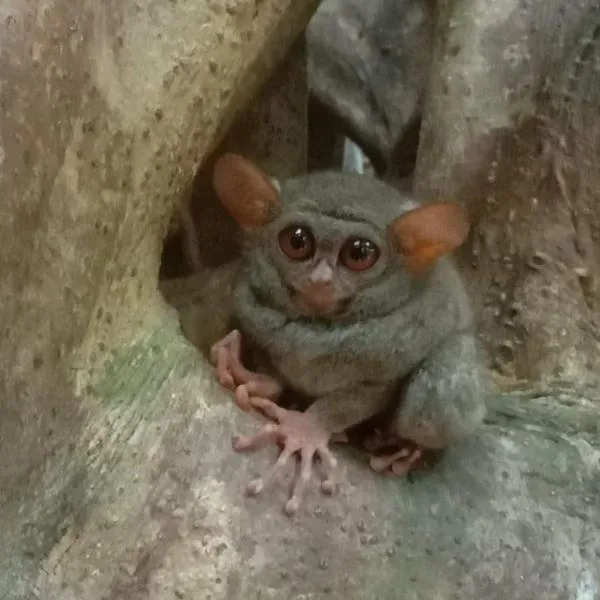 New Family Homestay, ξενοδοχείο σε Rinondoran