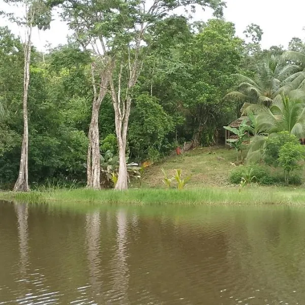Sconfra creek, hotel sa Bluefields