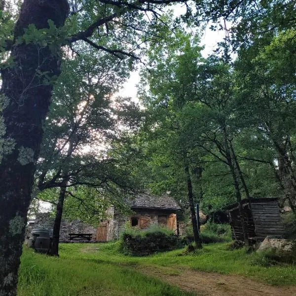 Insolite bergerie dans la forêt, ξενοδοχείο σε Arnac-sur-Dourdou