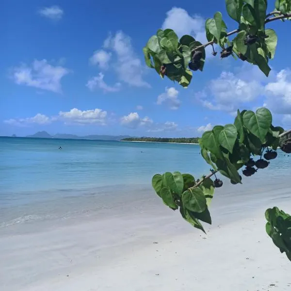 Ti-Case Appartement Jacuzzi à 100m de la plage, hotel in Sainte-Luce