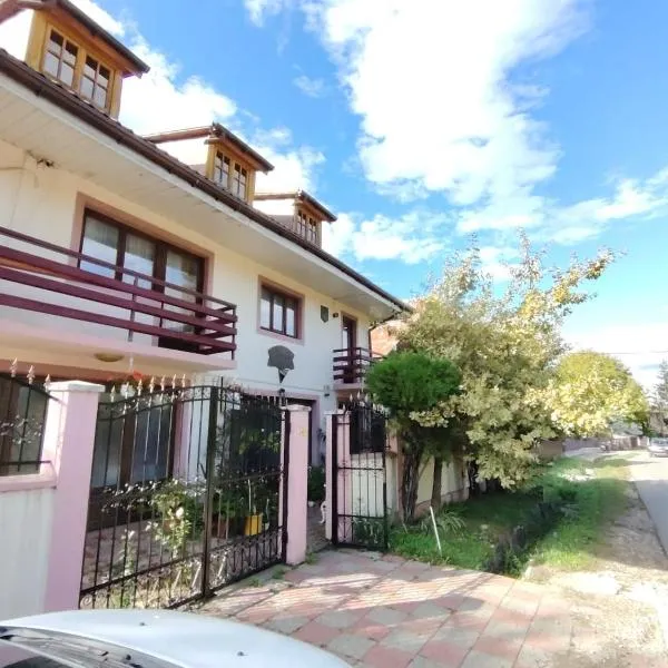 Casa Graur, hotel in Soveja