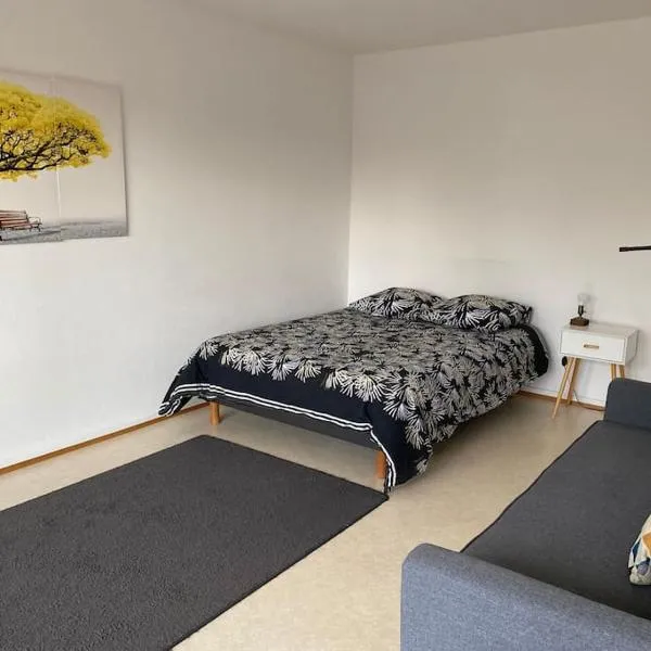 Studio 35 - centre ville, proche Bâle, hotel v destinaci Saint-Louis